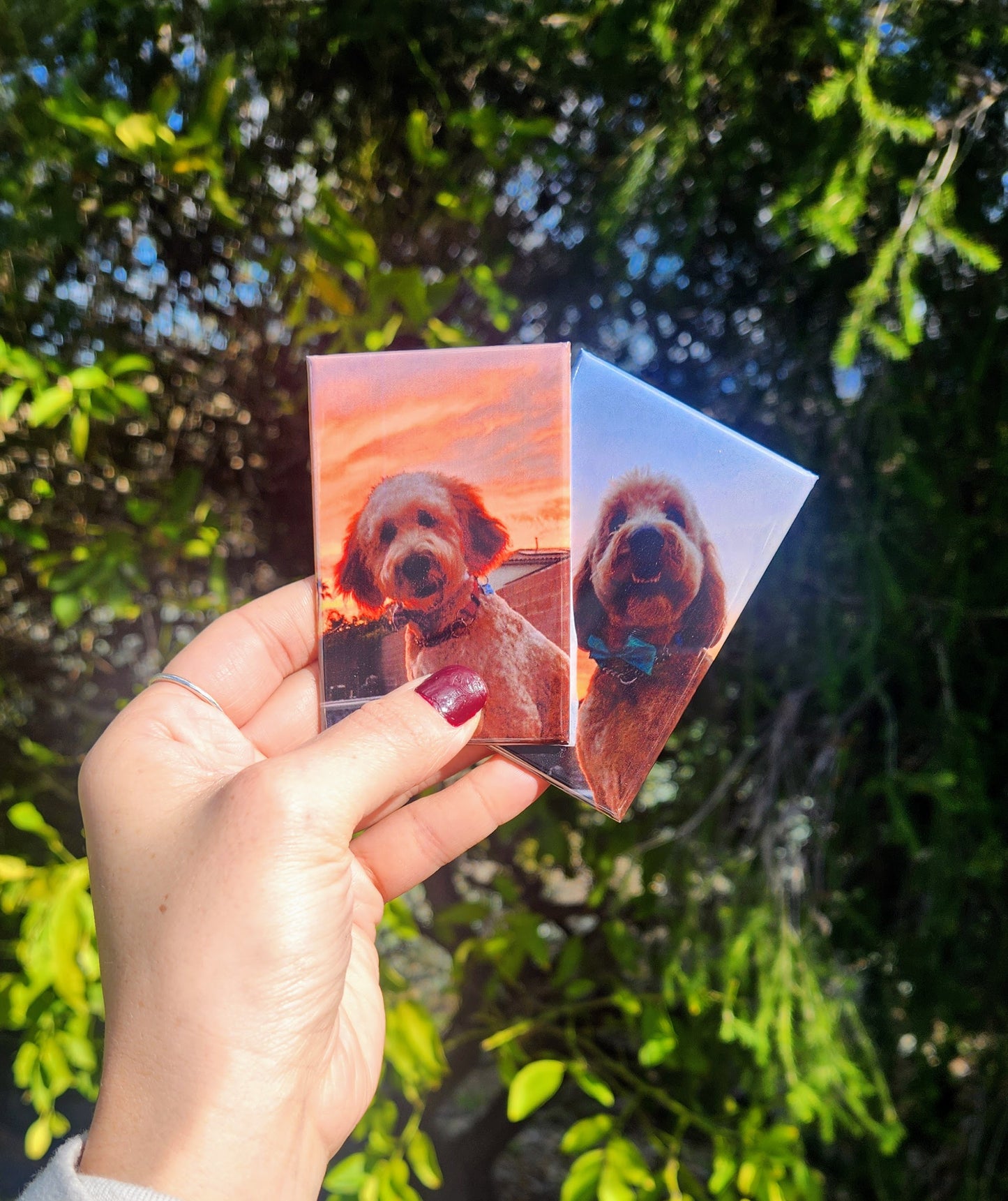 Customized Photo Magnets (pack of 6)