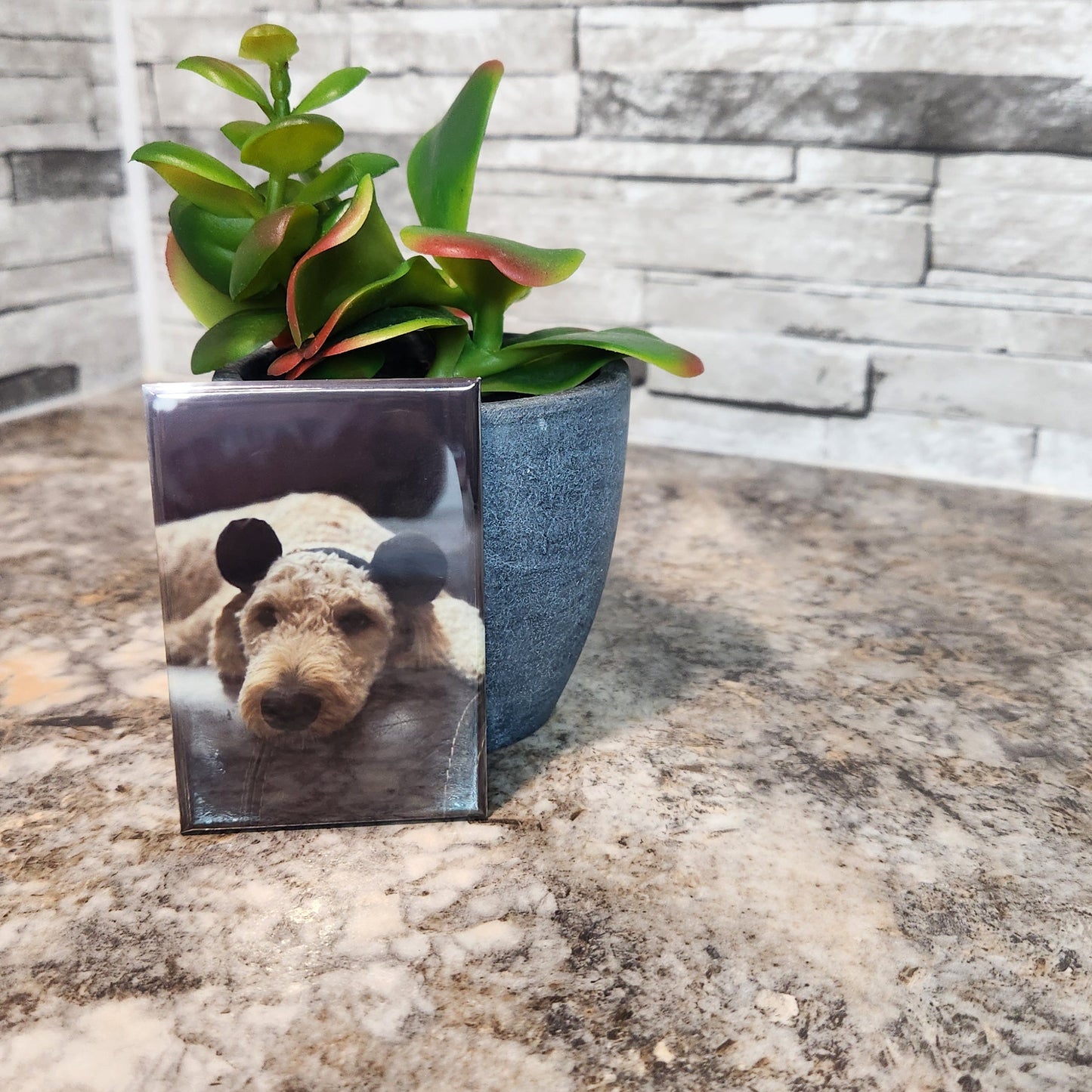 Customized Photo Magnets (pack of 6)