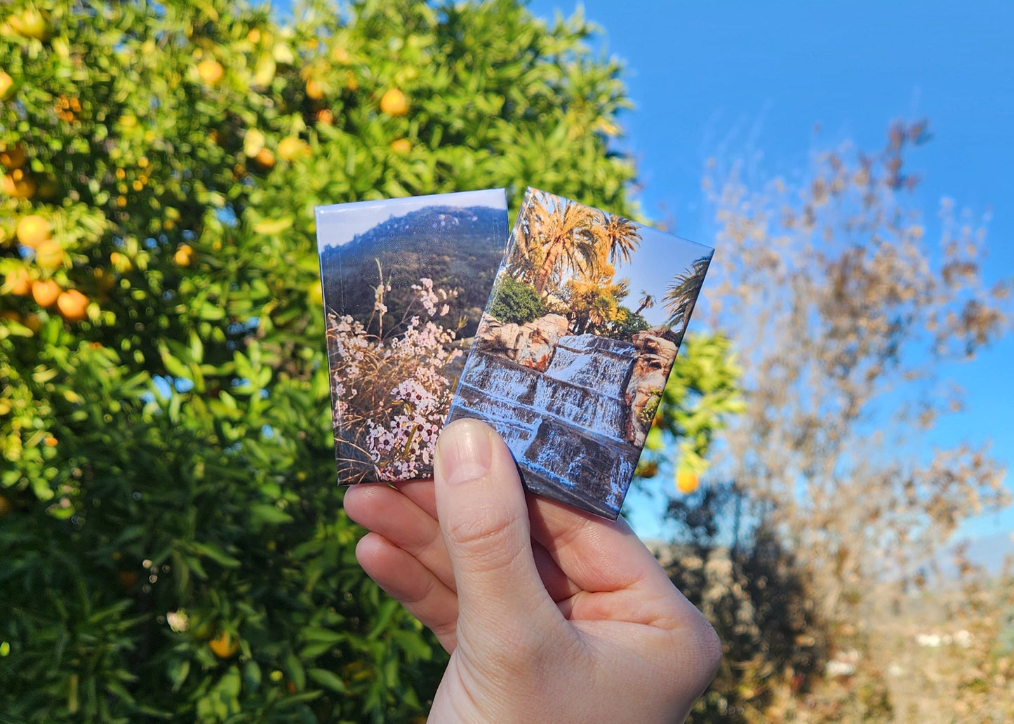 Customized Photo Magnets