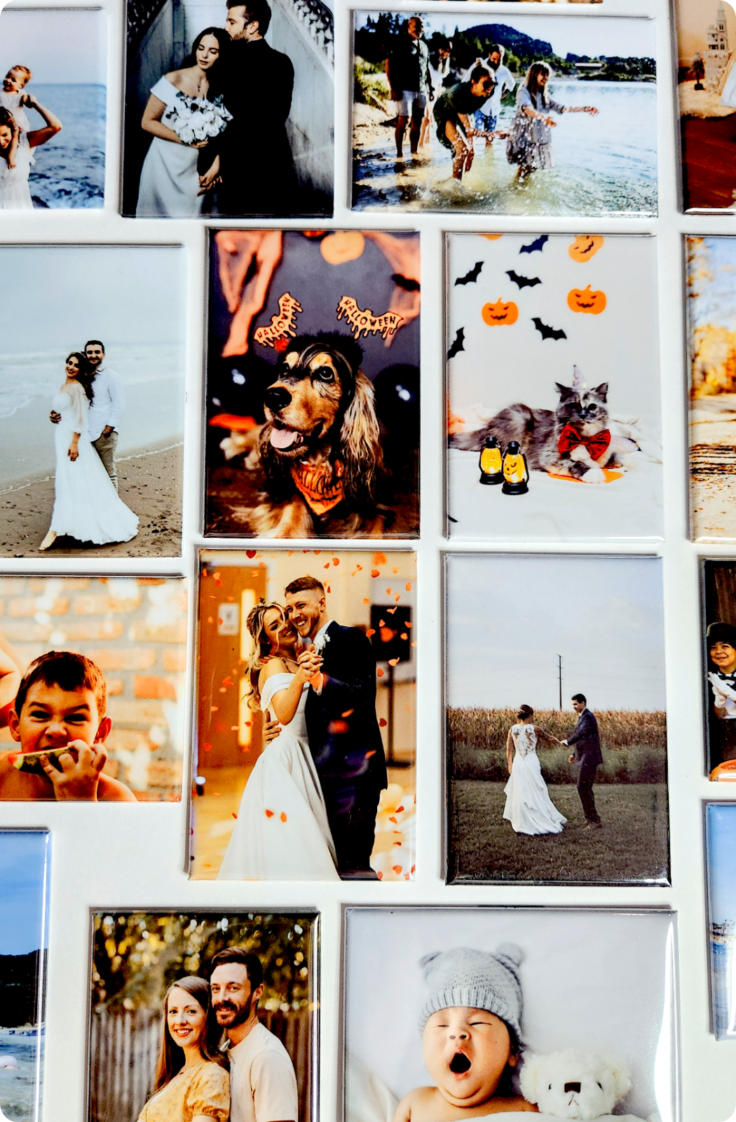 2x3 Custom Photo Magnets